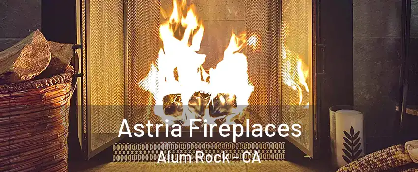  Astria Fireplaces Alum Rock - CA