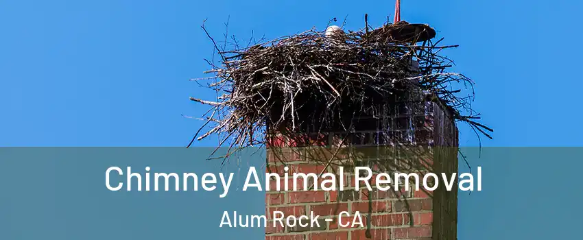  Chimney Animal Removal Alum Rock - CA