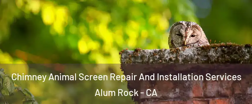  Chimney Animal Screen Repair And Installation Services Alum Rock - CA