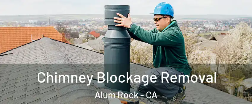  Chimney Blockage Removal Alum Rock - CA