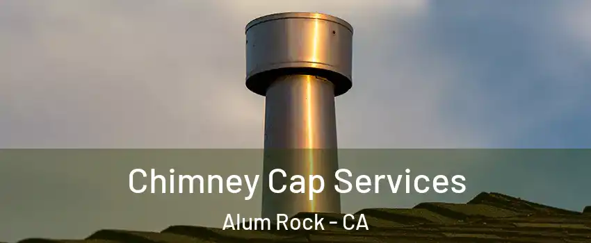  Chimney Cap Services Alum Rock - CA