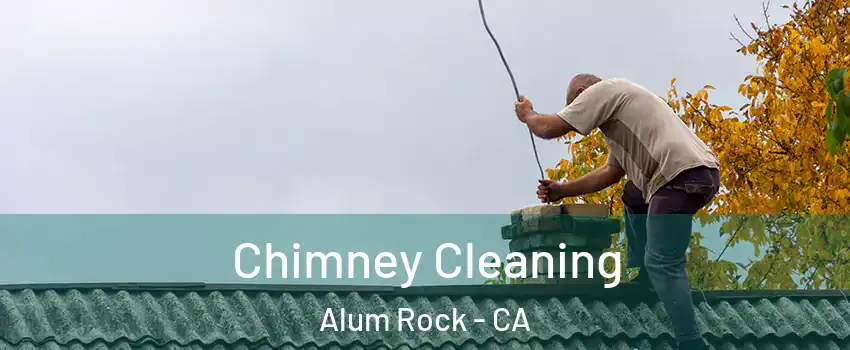  Chimney Cleaning Alum Rock - CA