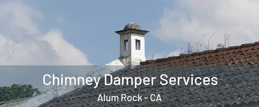  Chimney Damper Services Alum Rock - CA