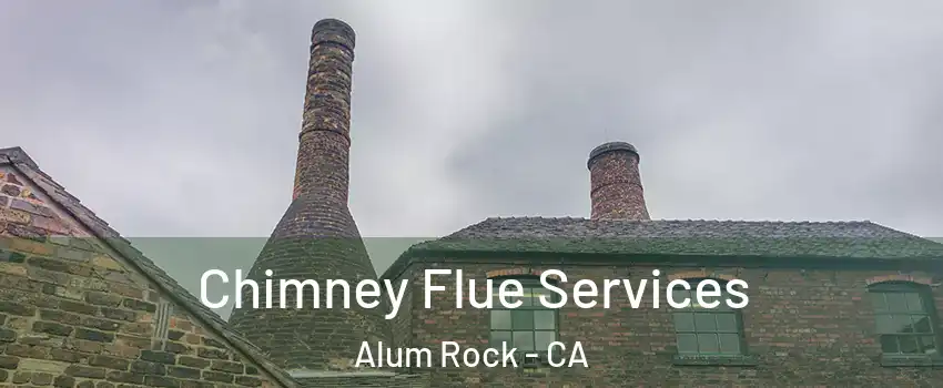  Chimney Flue Services Alum Rock - CA