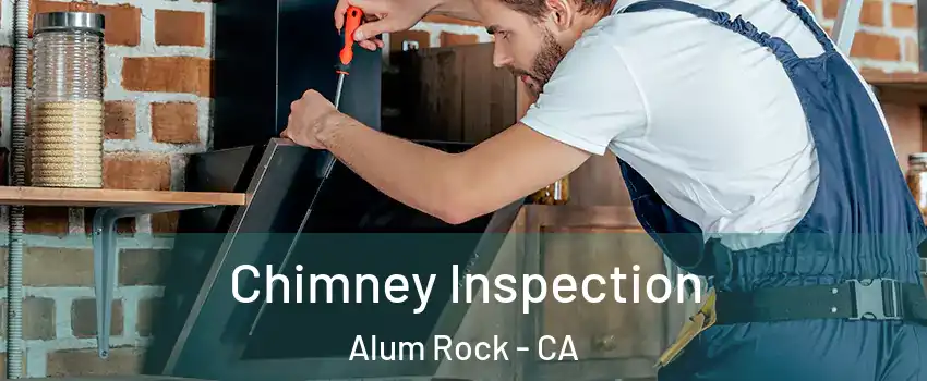  Chimney Inspection Alum Rock - CA