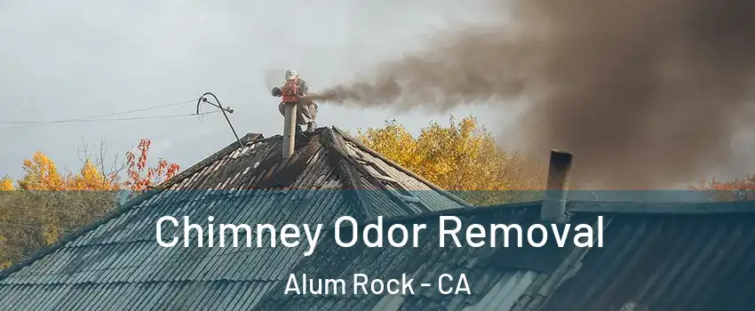  Chimney Odor Removal Alum Rock - CA