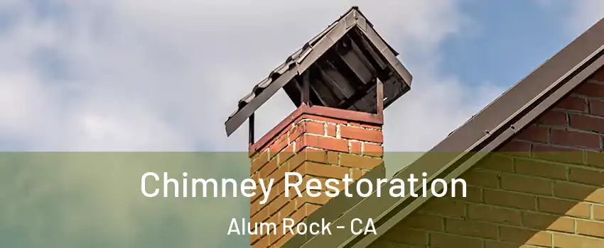  Chimney Restoration Alum Rock - CA