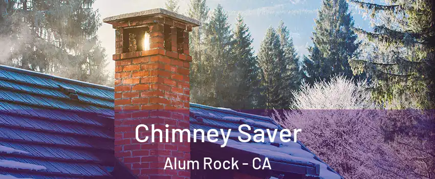  Chimney Saver Alum Rock - CA