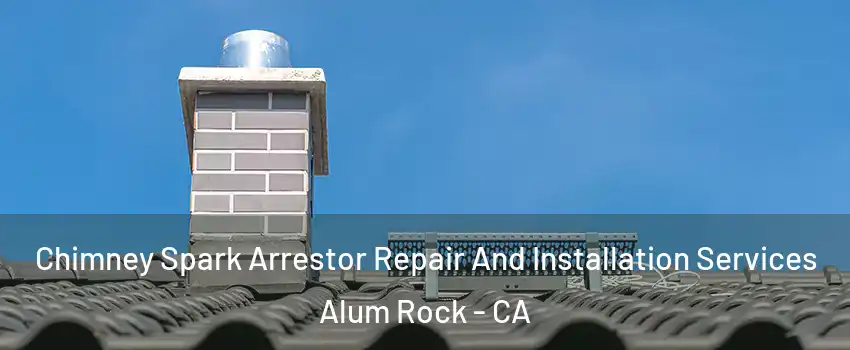  Chimney Spark Arrestor Repair And Installation Services Alum Rock - CA