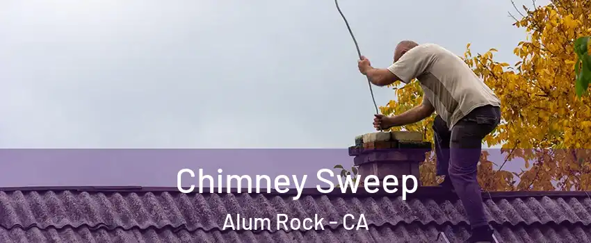  Chimney Sweep Alum Rock - CA