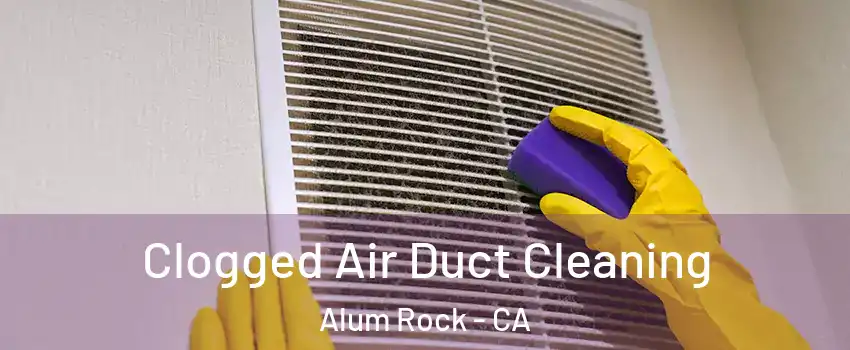  Clogged Air Duct Cleaning Alum Rock - CA