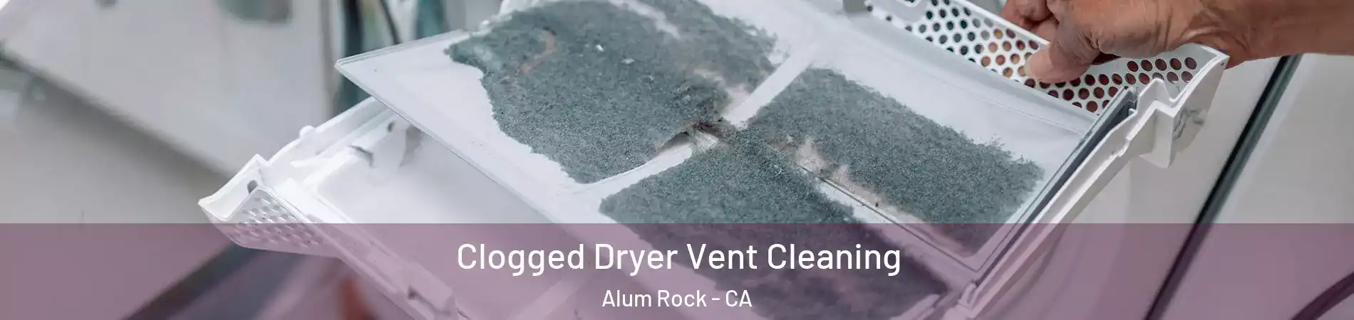  Clogged Dryer Vent Cleaning Alum Rock - CA