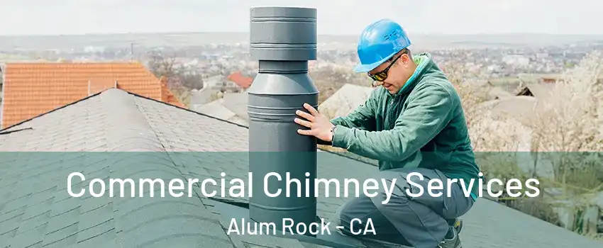 Commercial Chimney Services Alum Rock - CA