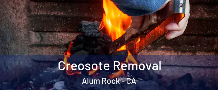  Creosote Removal Alum Rock - CA