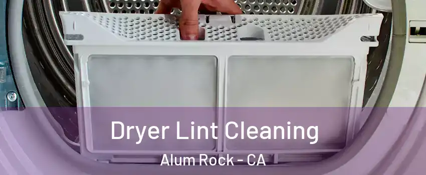 Dryer Lint Cleaning Alum Rock - CA