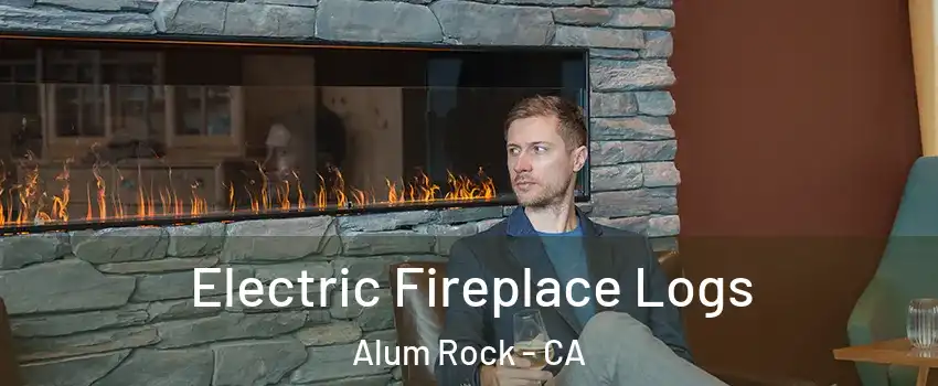  Electric Fireplace Logs Alum Rock - CA