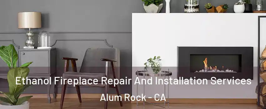  Ethanol Fireplace Repair And Installation Services Alum Rock - CA