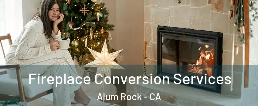  Fireplace Conversion Services Alum Rock - CA