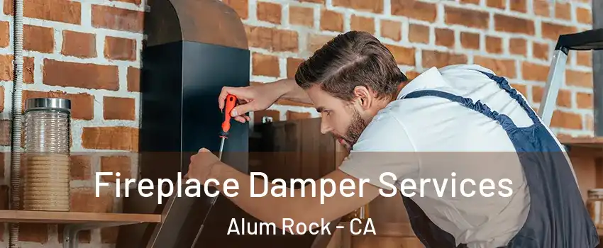  Fireplace Damper Services Alum Rock - CA