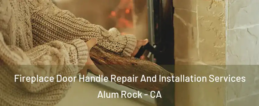  Fireplace Door Handle Repair And Installation Services Alum Rock - CA