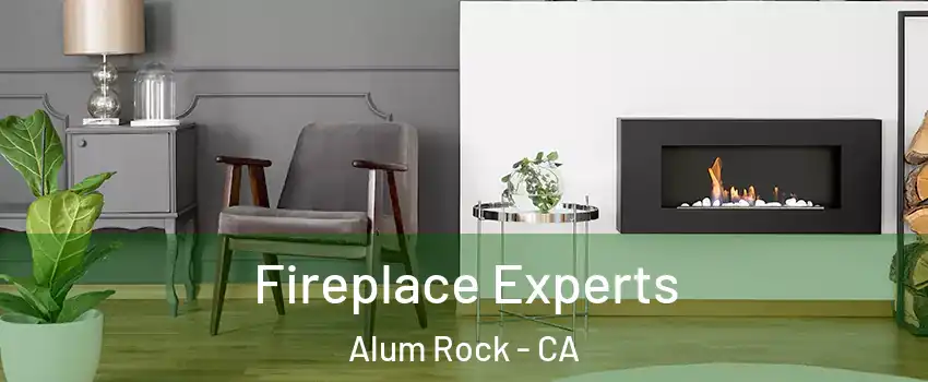  Fireplace Experts Alum Rock - CA