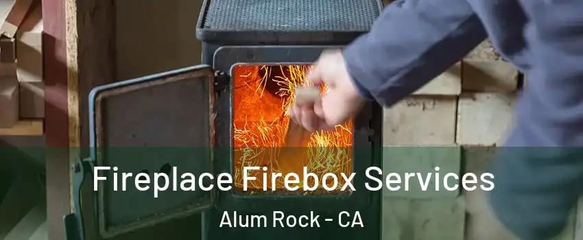 Fireplace Firebox Services Alum Rock - CA