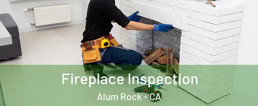  Fireplace Inspection Alum Rock - CA