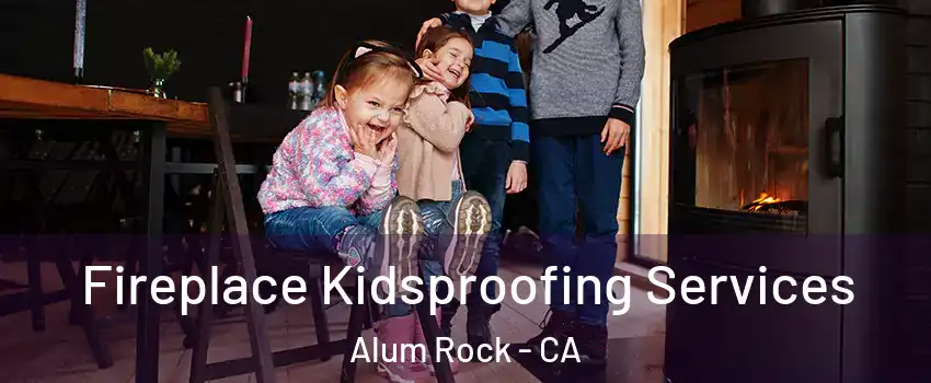  Fireplace Kidsproofing Services Alum Rock - CA