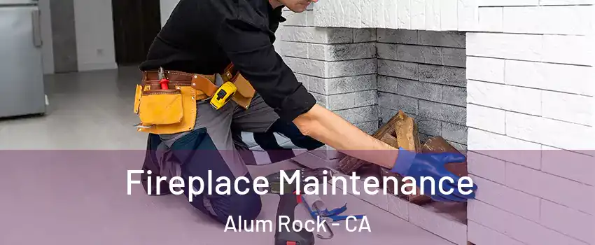  Fireplace Maintenance Alum Rock - CA