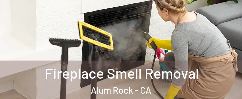  Fireplace Smell Removal Alum Rock - CA