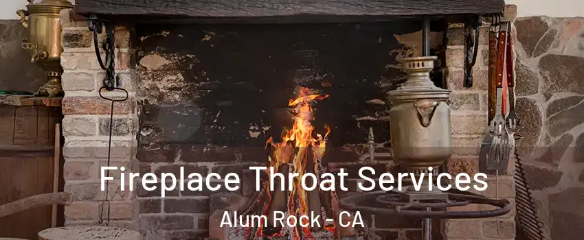  Fireplace Throat Services Alum Rock - CA