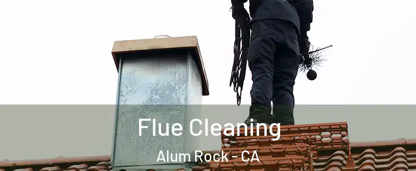  Flue Cleaning Alum Rock - CA