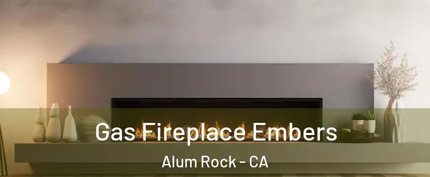  Gas Fireplace Embers Alum Rock - CA