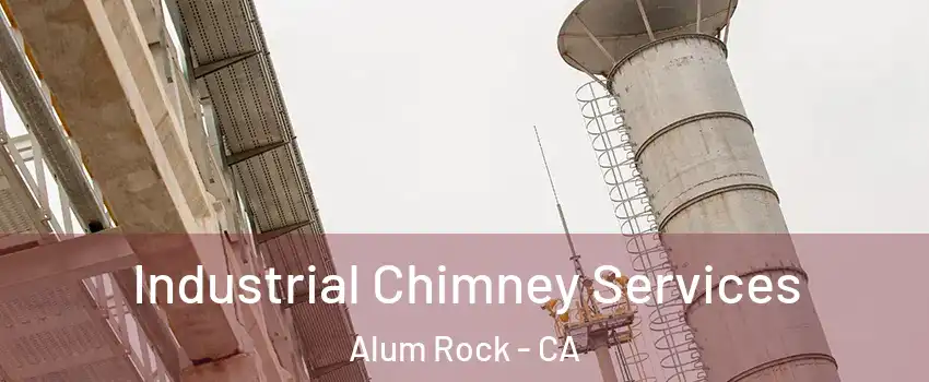  Industrial Chimney Services Alum Rock - CA