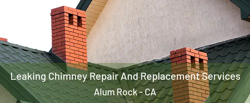  Leaking Chimney Repair And Replacement Services Alum Rock - CA