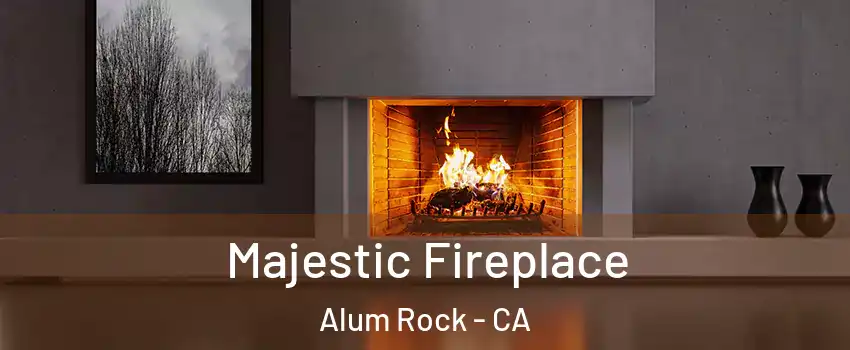  Majestic Fireplace Alum Rock - CA