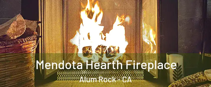  Mendota Hearth Fireplace Alum Rock - CA