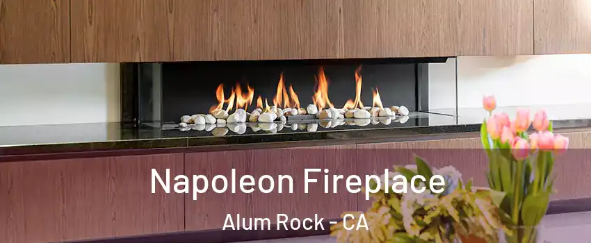  Napoleon Fireplace Alum Rock - CA
