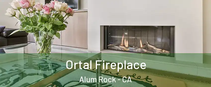  Ortal Fireplace Alum Rock - CA