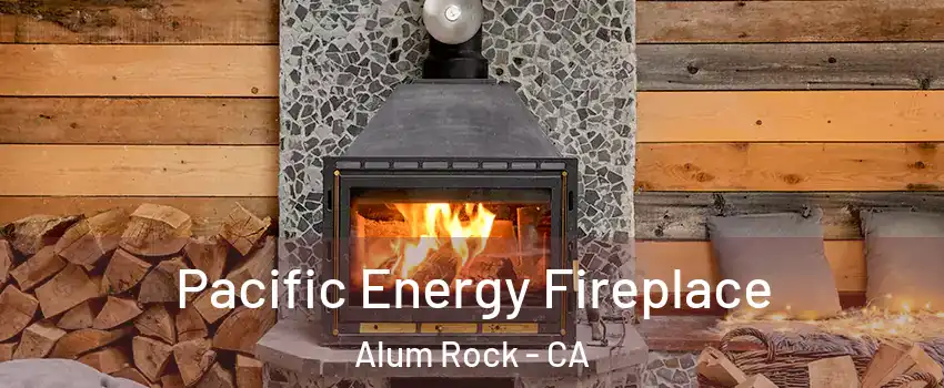  Pacific Energy Fireplace Alum Rock - CA
