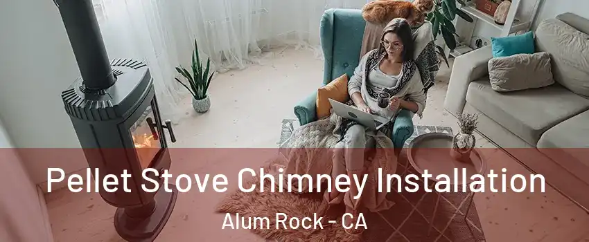  Pellet Stove Chimney Installation Alum Rock - CA