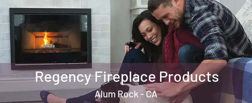 Regency Fireplace Products Alum Rock - CA