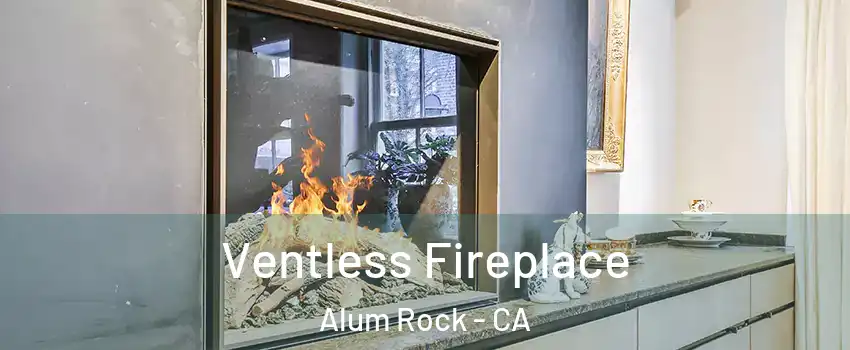  Ventless Fireplace Alum Rock - CA